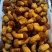 野生美味牛肝菌黑牛肝菌