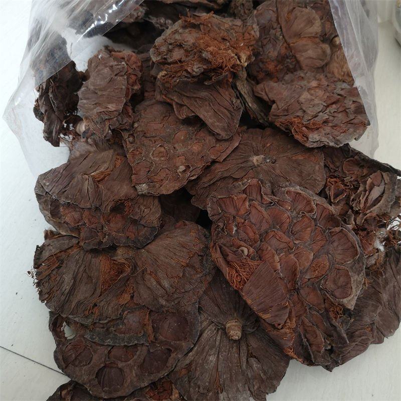 中药材莲房莲蓬壳莲壳晒干莲蓬干品