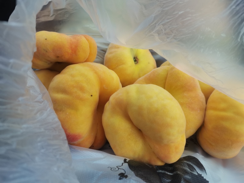 黄毛蟠