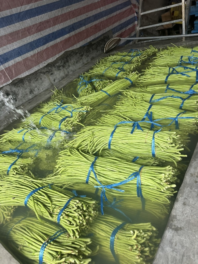 福建南平长缸豆，原产地发货，泡水加冰打冷，一条龙服务