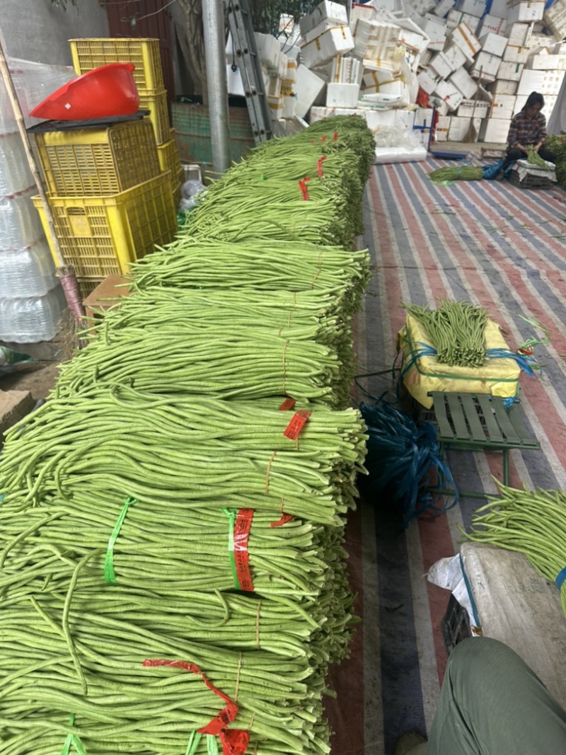 福建南平长缸豆，原产地发货，泡水加冰打冷，一条龙服务