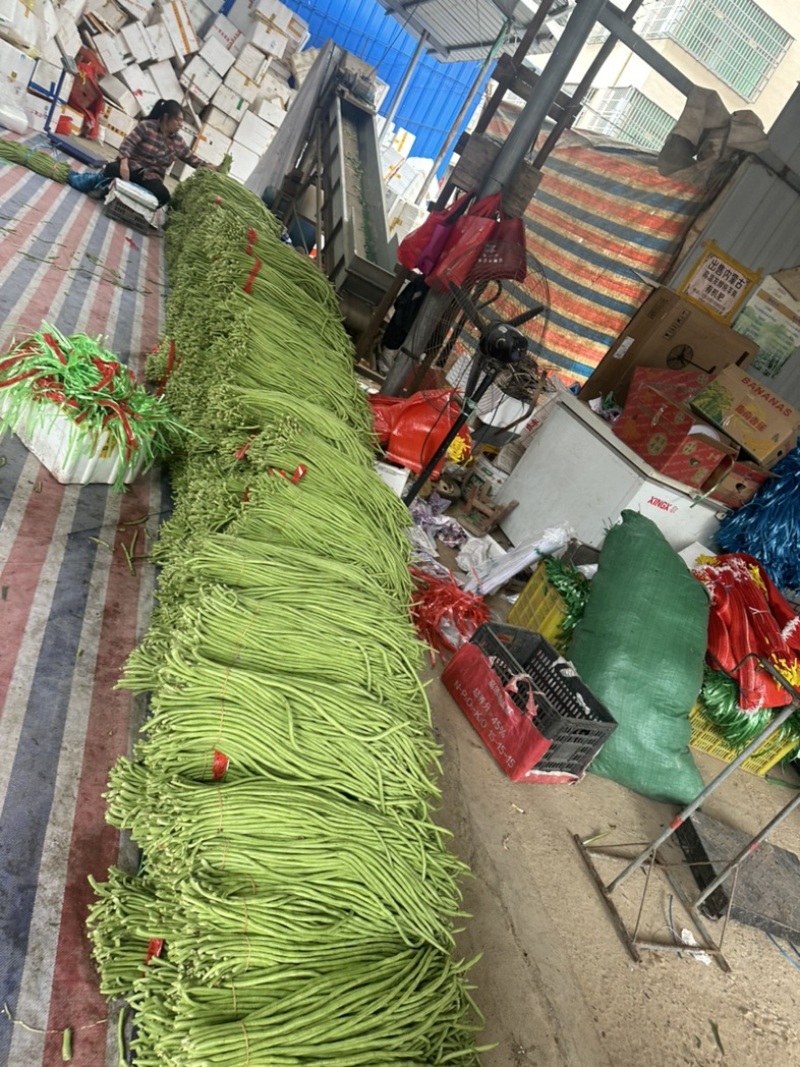 福建南平长缸豆，原产地发货，泡水加冰打冷，一条龙服务