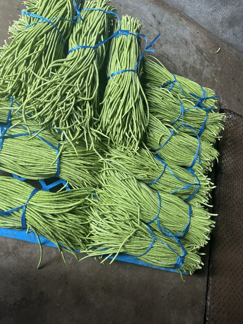 福建南平长缸豆，原产地发货，泡水加冰打冷，一条龙服务