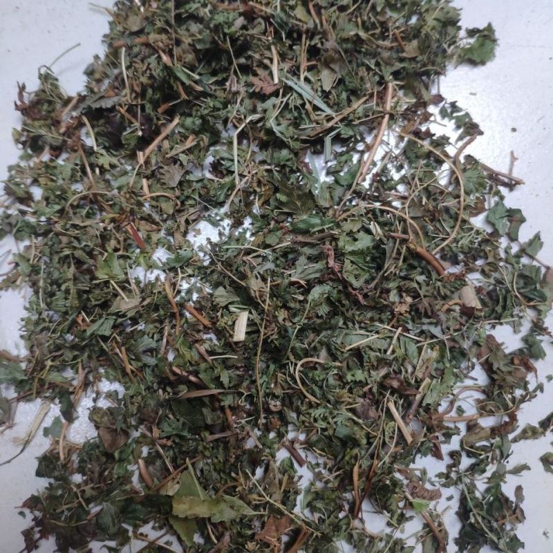 海金沙藤别名海金沙草铁线藤