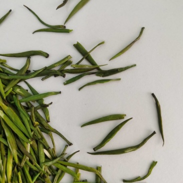 供应恩施贡芽茶。明前茶春茶新茶硒茶贡芽茶，贡茶