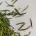供应恩施贡芽茶。明前茶春茶新茶硒茶贡芽茶，贡茶