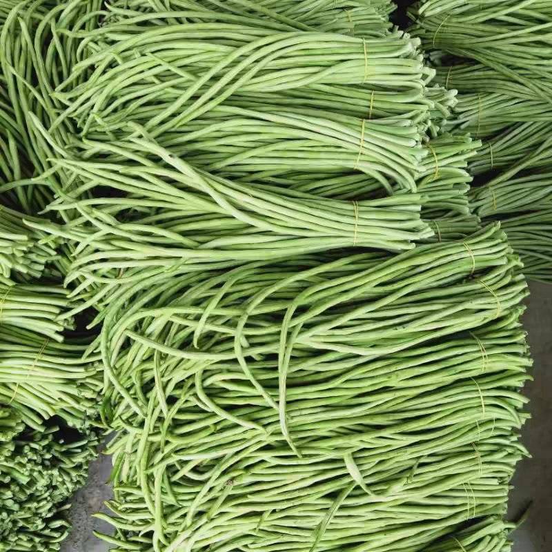 青条豆角新鲜长豆角高山豆角保质保量现采现装