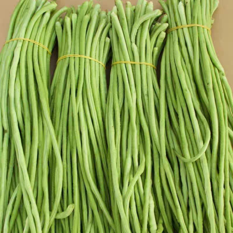 青条豆角新鲜长豆角高山豆角保质保量现采现装