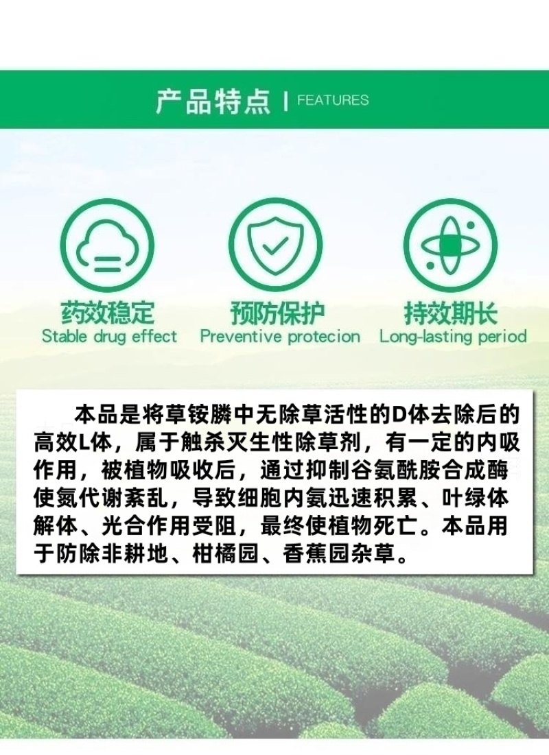 绿霸狮威10%精草铵膦柑橘园非耕地香杂草除草剂喷雾