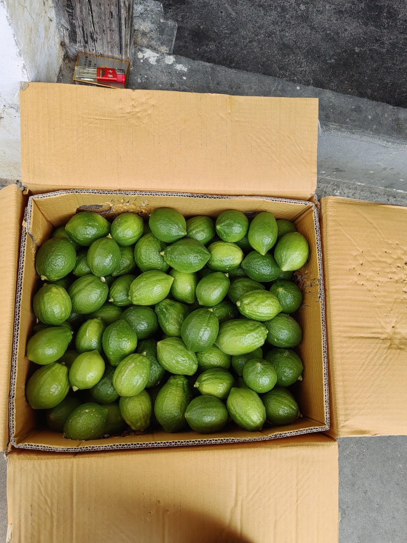 自己家里种的以丰产