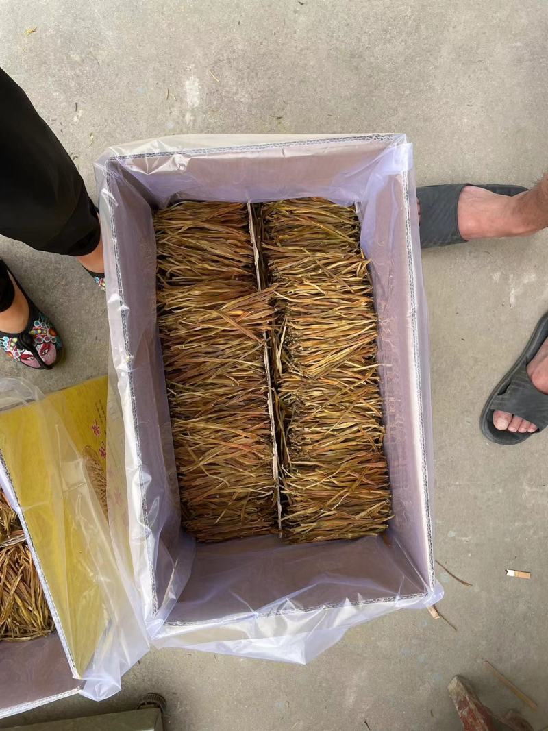 陕西一级熟直条自蒸自摆黄花菜，欢迎大家订购，