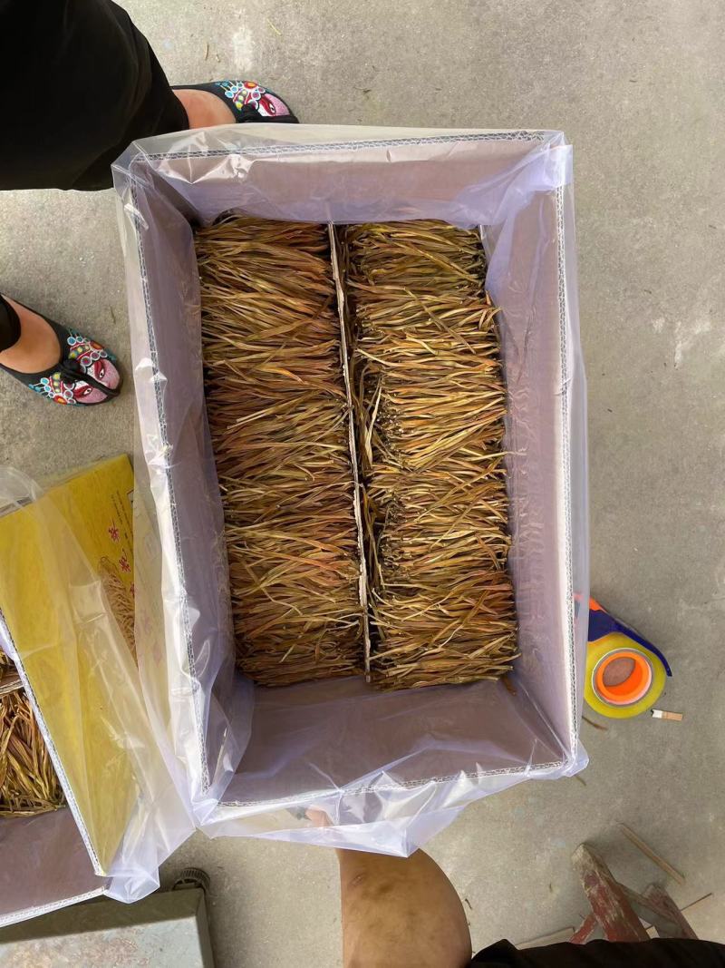 陕西一级熟直条自蒸自摆黄花菜，欢迎大家订购，