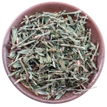 中药材萹蓄扁蓄草猪牙草