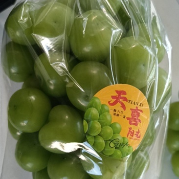 湖北元产地大棚阳光玫瑰，量大从优，全国发货