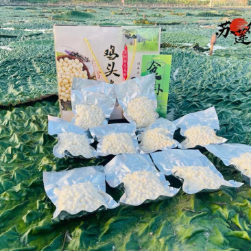 特大鸡头米真空四两装，送礼盒