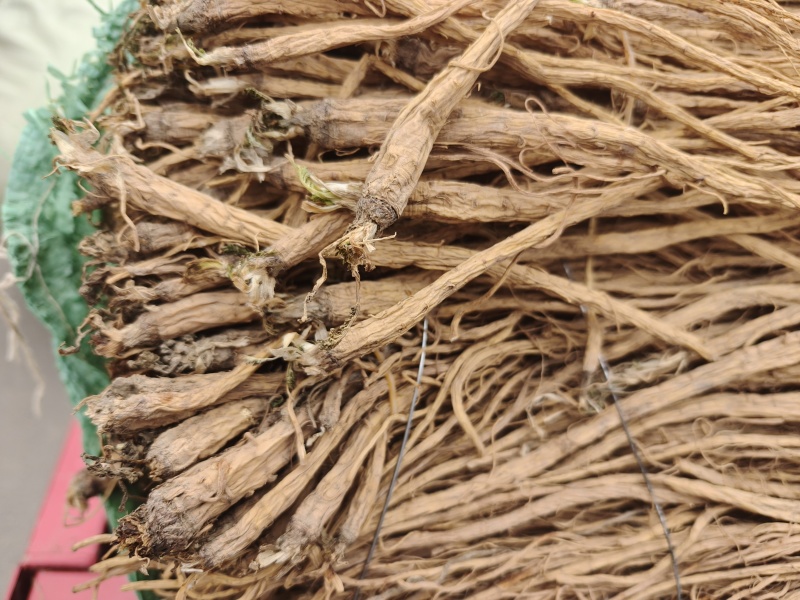 甘肃本地水防风干个子，质量有保障，无硫，产地直发。