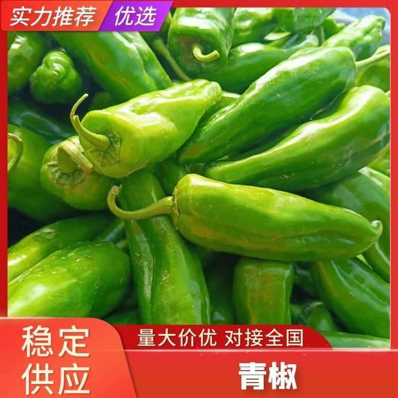 辣椒黄皮尖椒鲜辣椒赶大集电商超市品相好运输便利