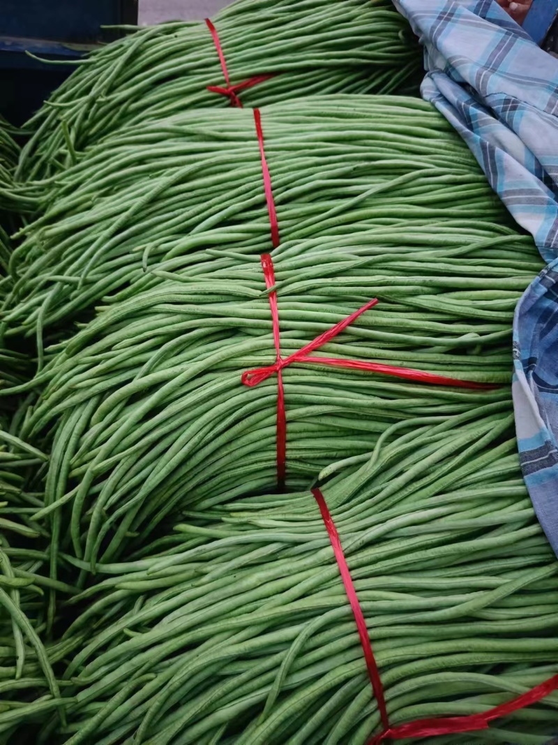 豆角长豆角基地直发货量大价格便宜质量保障运输便利欢迎联系