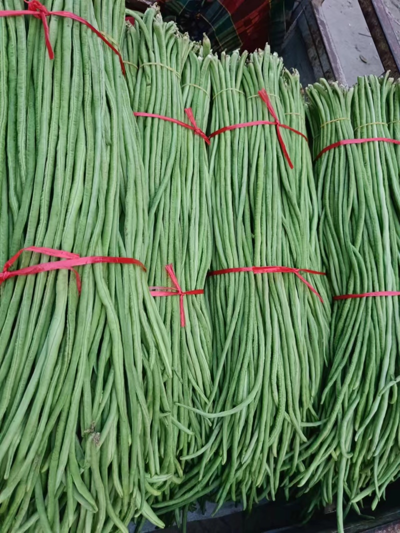 豆角长豆角基地直发货量大价格便宜质量保障运输便利欢迎联系