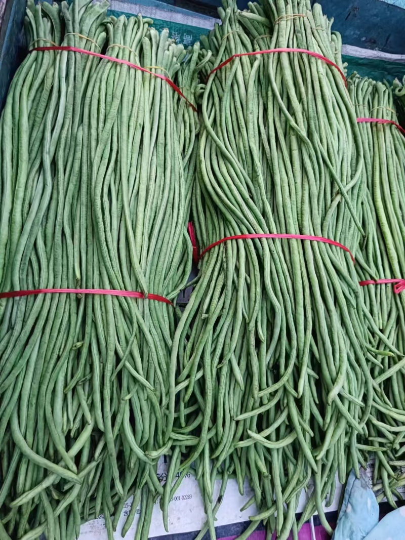 豆角长豆角基地直发货量大价格便宜质量保障运输便利欢迎联系