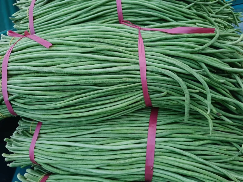 豆角长豆角基地直发货量大价格便宜质量保障运输便利欢迎联系