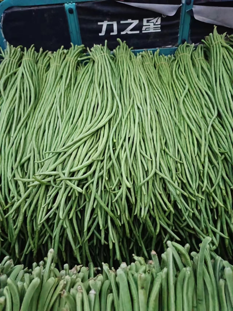 豆角长豆角基地直发货量大价格便宜质量保障运输便利欢迎联系