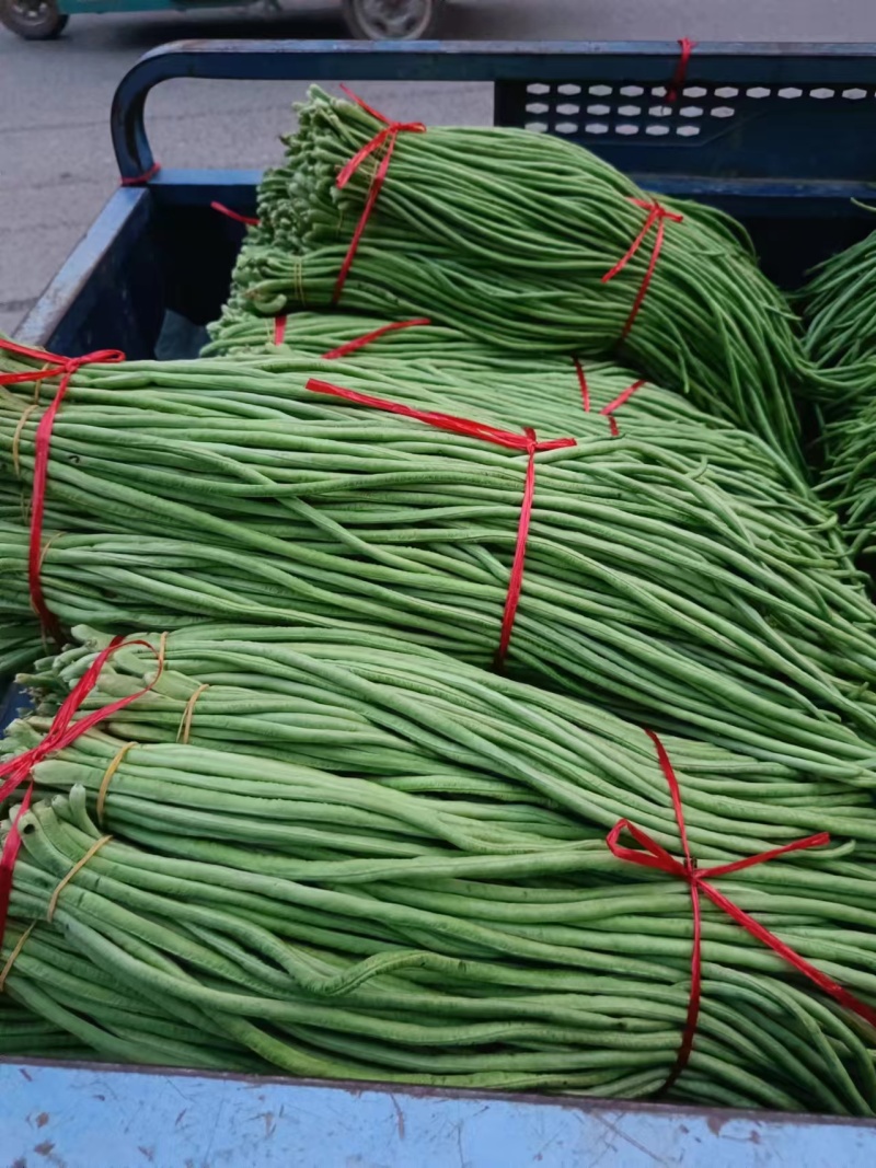 豆角长豆角基地直发货量大价格便宜质量保障运输便利欢迎联系