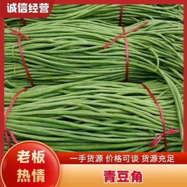 豆角长豆角基地直发货量大价格便宜质量保障运输便利欢迎联系
