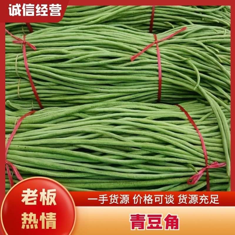 豆角长豆角基地直发货量大价格便宜质量保障运输便利欢迎联系