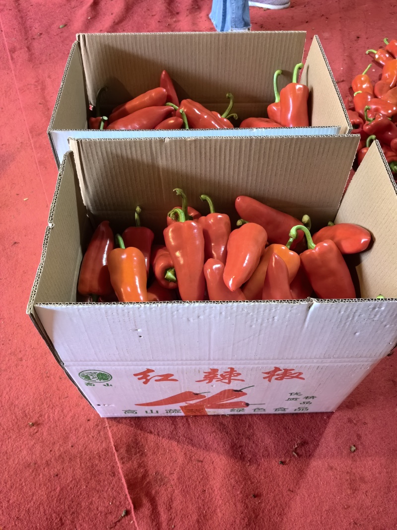 长阳高山蔬菜
