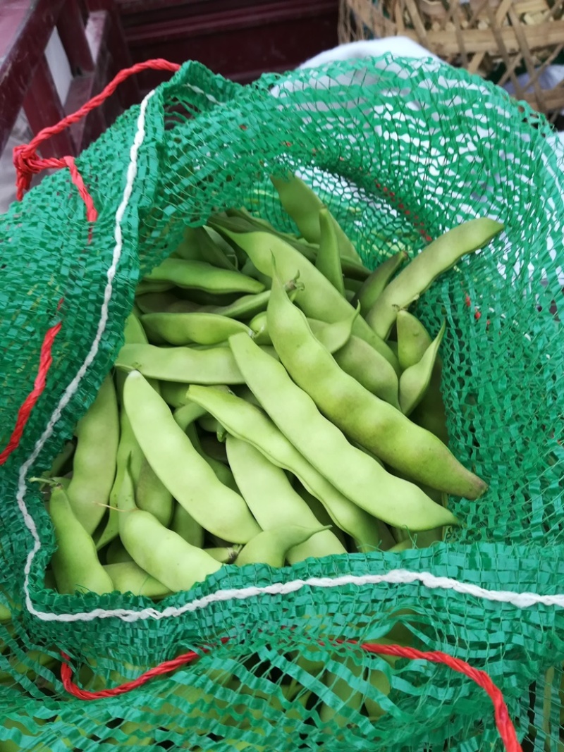 扁豆刀豆芸豆无筋豆四季豆产地直销大量供应一件代发