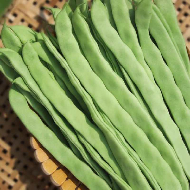 扁豆刀豆芸豆无筋豆四季豆产地直销大量供应一件代发