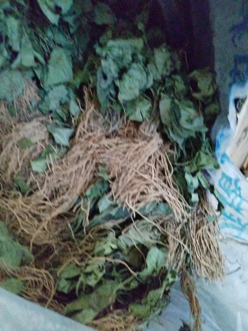 细辛，大巴山野生华细辛干货，适合家庭调味，农家乐