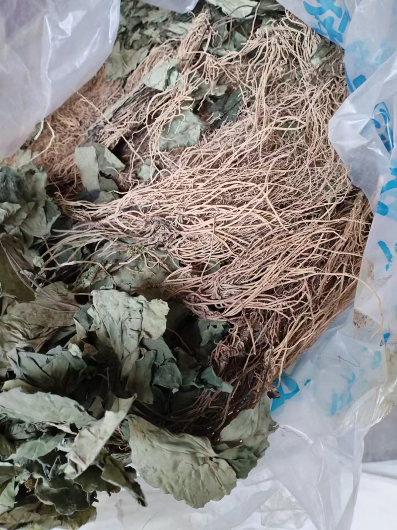 细辛，大巴山野生华细辛干货，适合家庭调味，农家乐