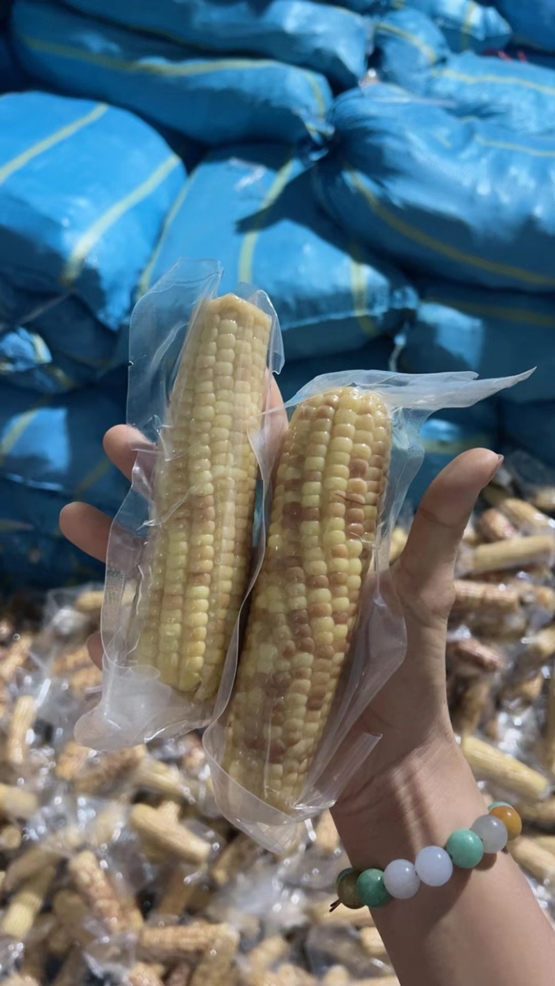 花糯玉米