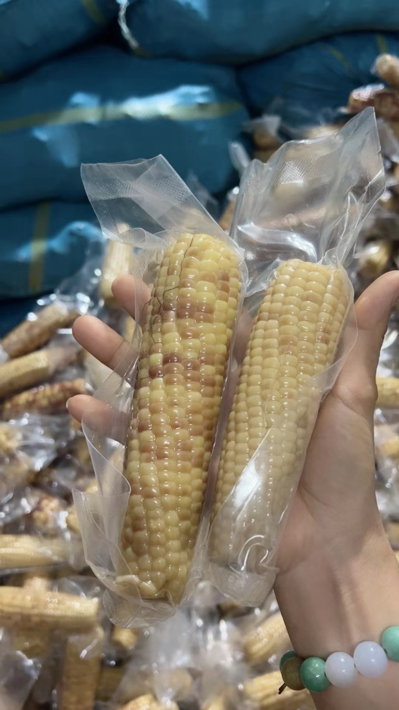 花糯玉米