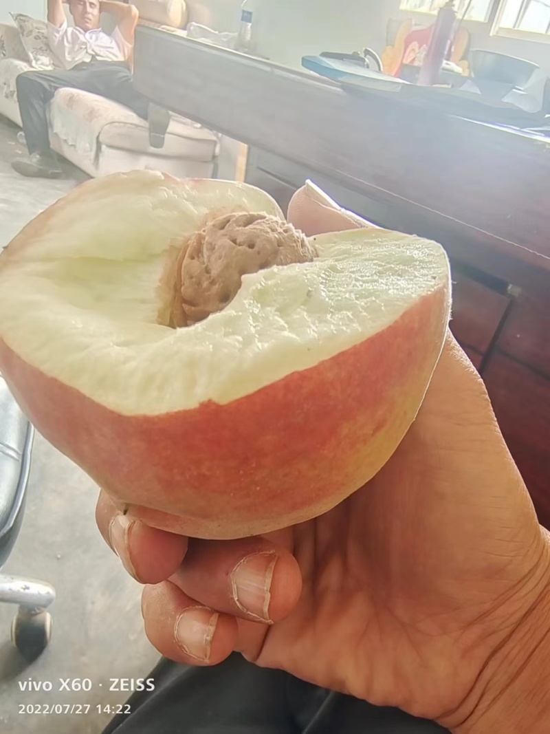 代收代发北京十四号毛桃