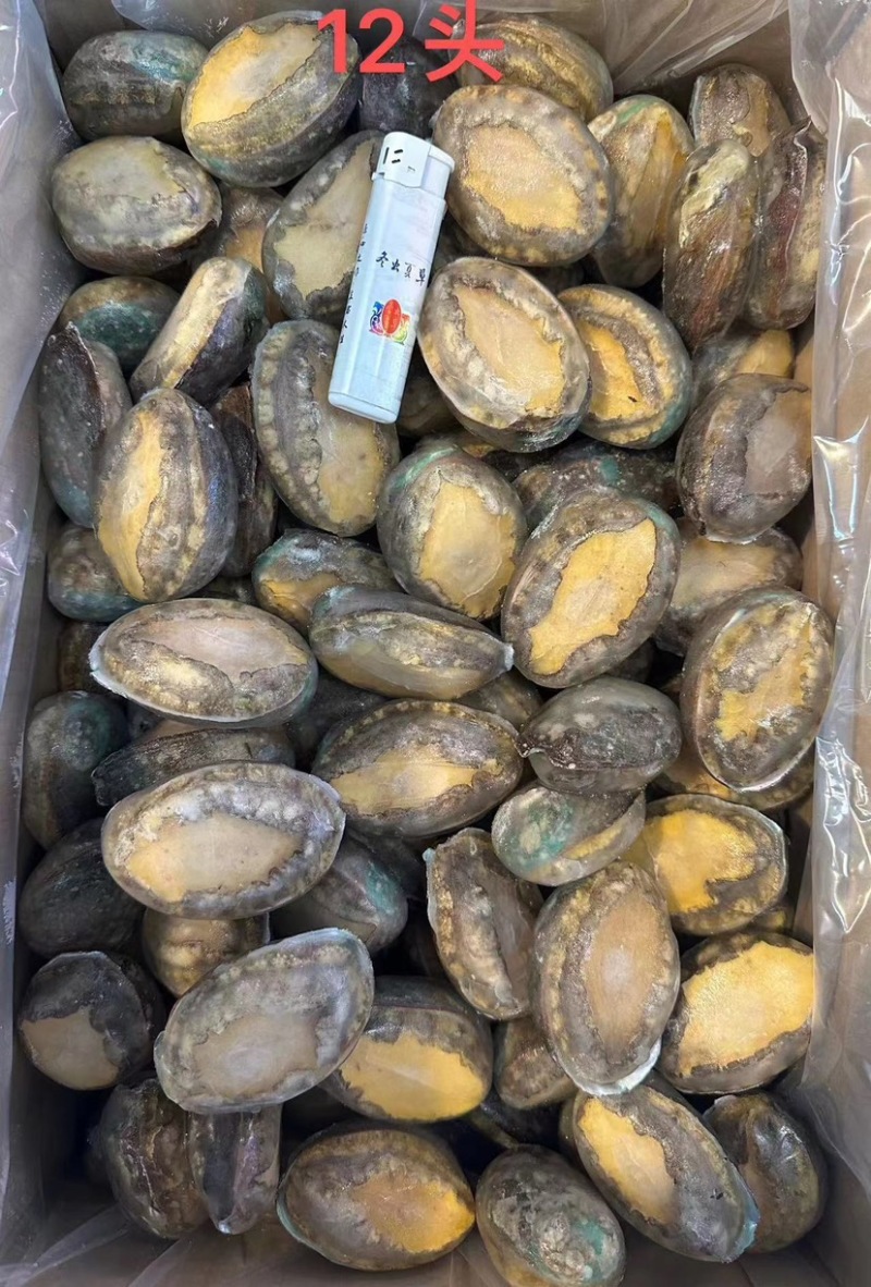 龙头企业工厂直销