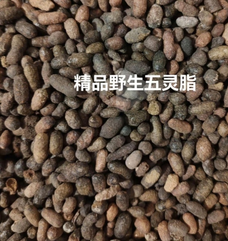 中药材，精品五灵脂干净无杂质