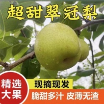 翠冠梨产地看货论价保质保量量大从优支持发货