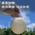 翠冠梨产地看货论价保质保量量大从优支持发货