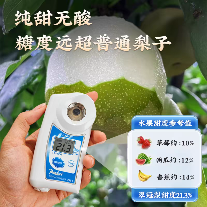 翠冠梨产地看货论价保质保量量大从优支持发货