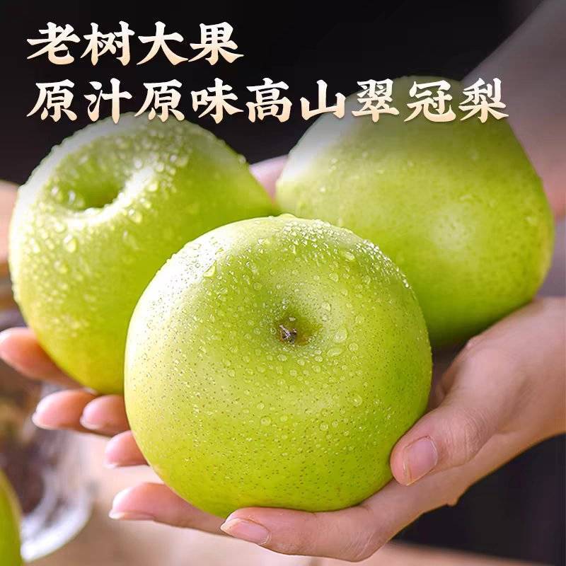 梨子黄花梨圆黄梨产地看货论价保质保量量大从优