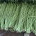 云南精品豇豆长豆角大量上市电商市场欢迎来电合作
