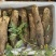 云南精品灵芝山药大量上市电商市场各种欢迎合作