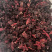 玫瑰茄洛神花红桃K玫瑰茄干货大货供应花茶泡水