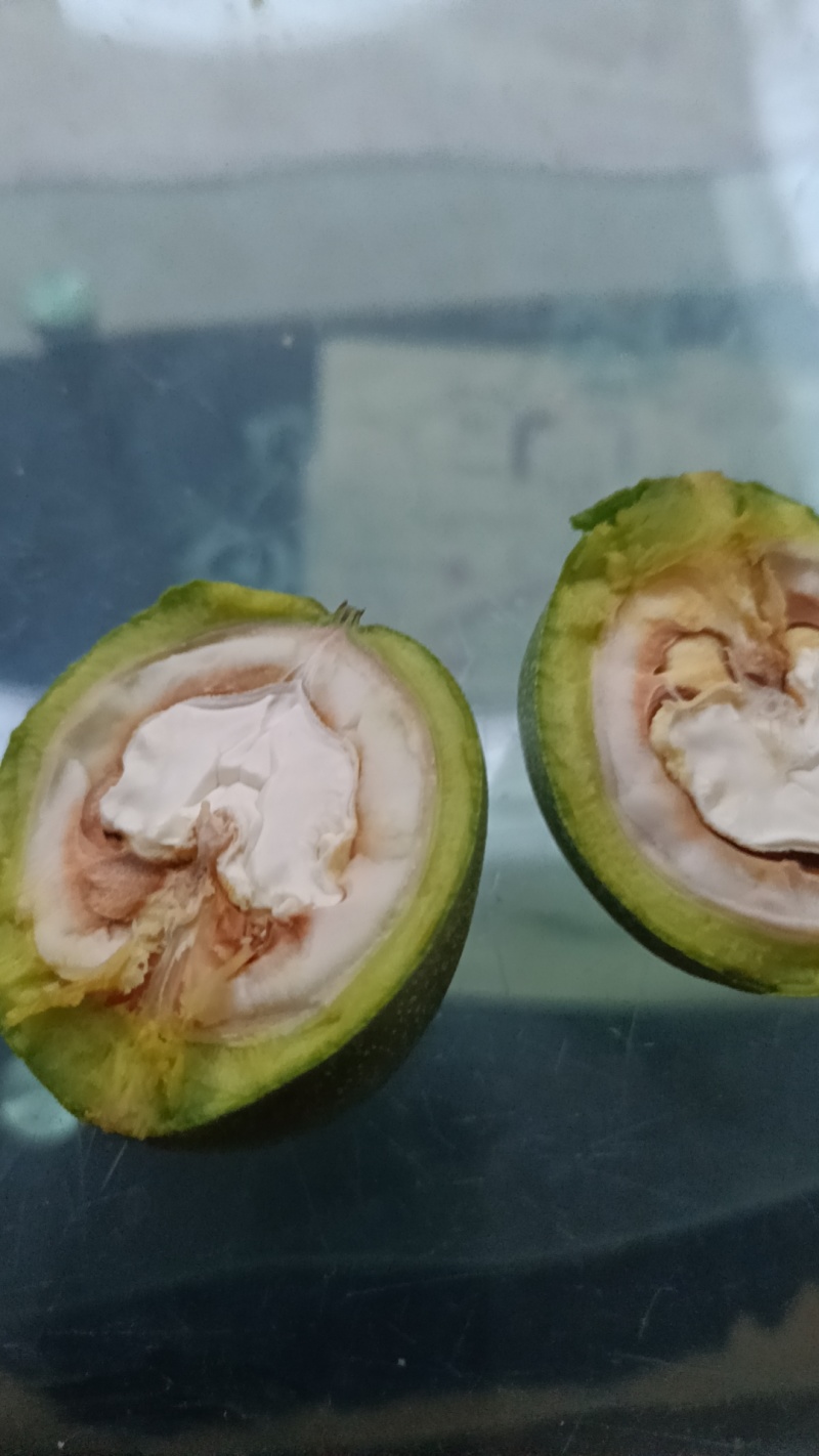 青皮核桃，礼品2号产地直销，保质保量，量大从优
