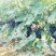 陆地夏黑葡萄