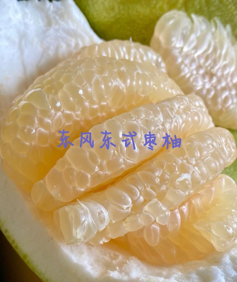 东式枣柚子