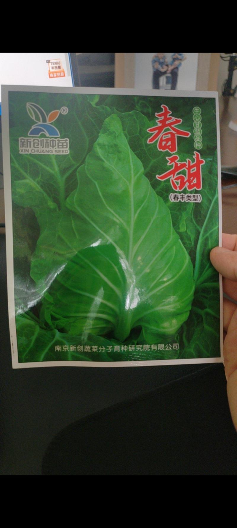 牛心甘蓝种子鸡心甘蓝种子牛心莲花白种子鸡心莲花白种子